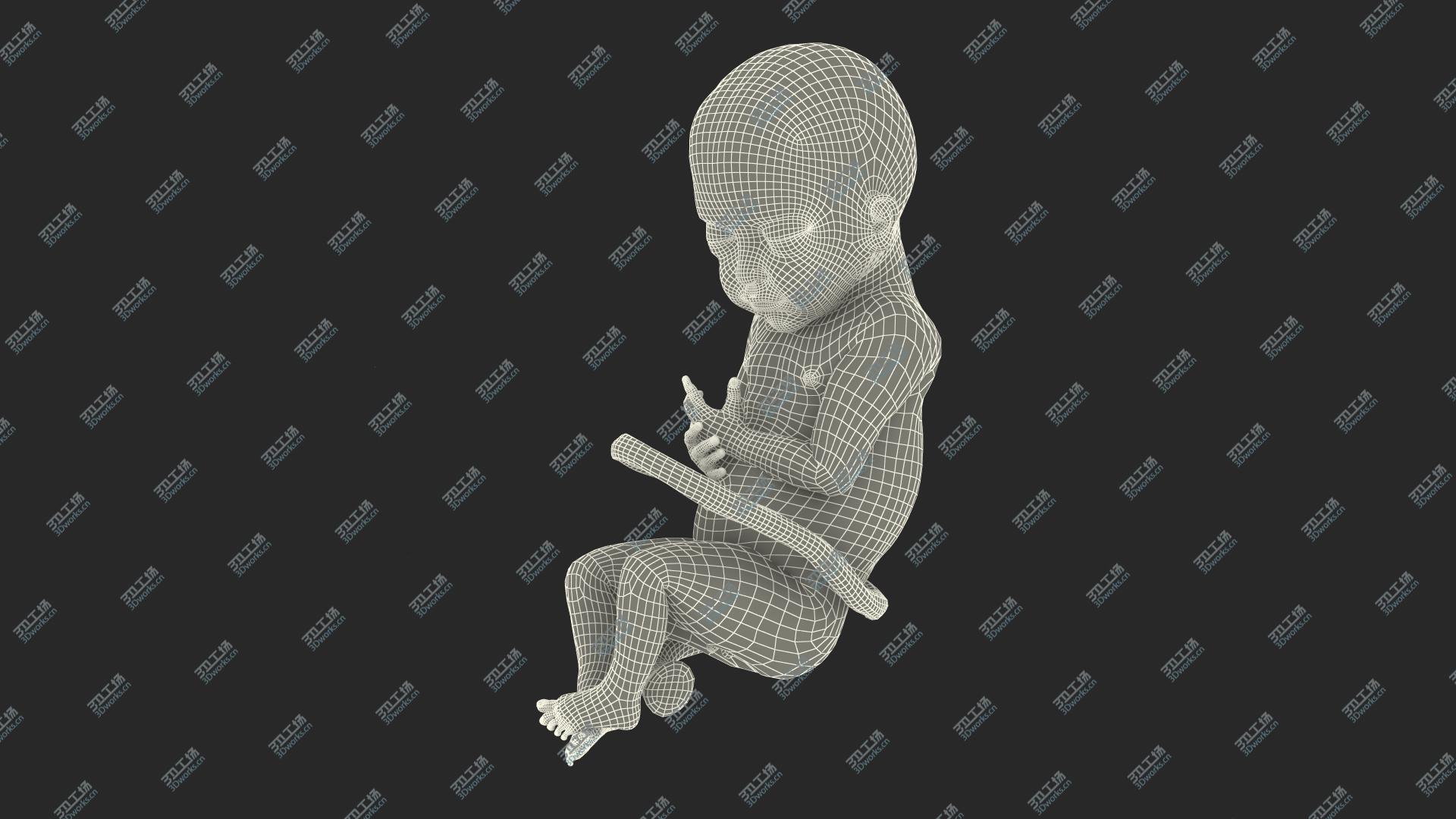 images/goods_img/20210313/Baby Boy at 28 Weeks Rigged model/4.jpg